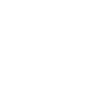 Desarrollo económico local